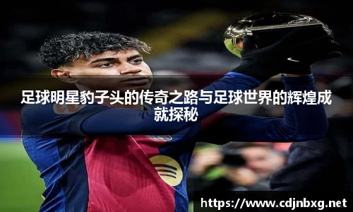 足球明星豹子头的传奇之路与足球世界的辉煌成就探秘